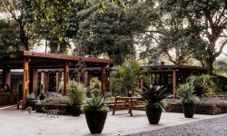 Elewana Collection - Arusha Coffee Plantation