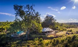 Deteema Camp -Machaba Safaris - Hwange - Zimbabwe