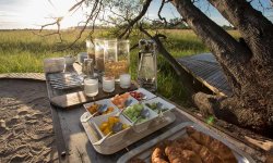 ABU CAMP, Okavango Delta, Botswana