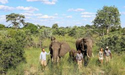 ABU CAMP, Okavango Delta, Botswana