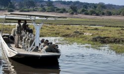 Expeditions_pangolin_photoboat_044.jpg