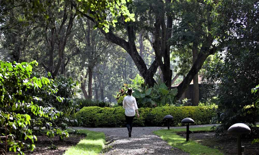 Arusha Coffee Lodge