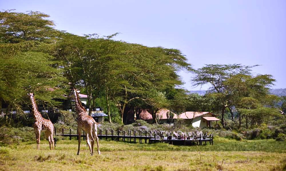 Hatari Lodge