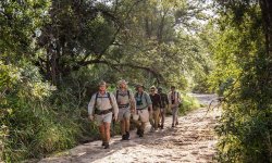 Tanda Tula - Timbavati - Kruger National Park