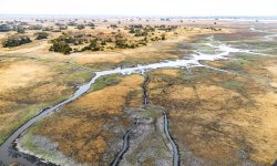 Busanga-Wilderness-Safari-Kafue-Zambia